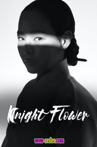 Knight Flower 2024 1 12   Knight Flower 1 317x476 